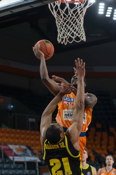 机制与历史 机制与历史